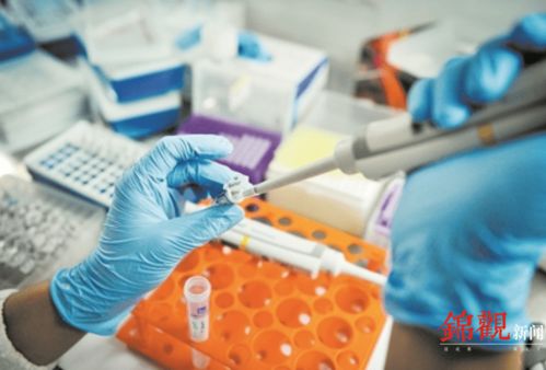 睿樂達再次吸睛 從機器人到原研藥，看成都566.8億元高新技術產品背后的創新韌性